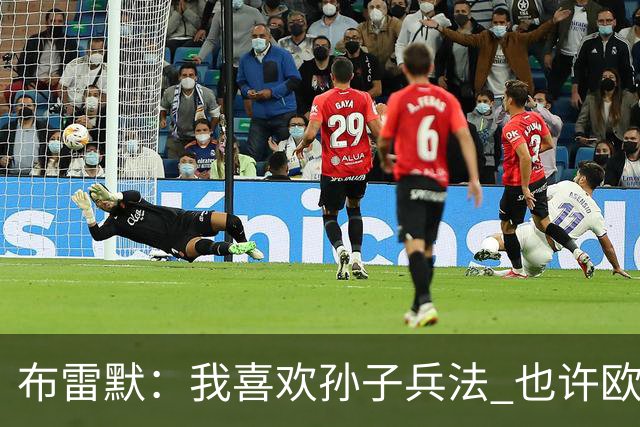 布雷默：我喜欢孙子兵法 也许欧联杯我们能最终夺冠